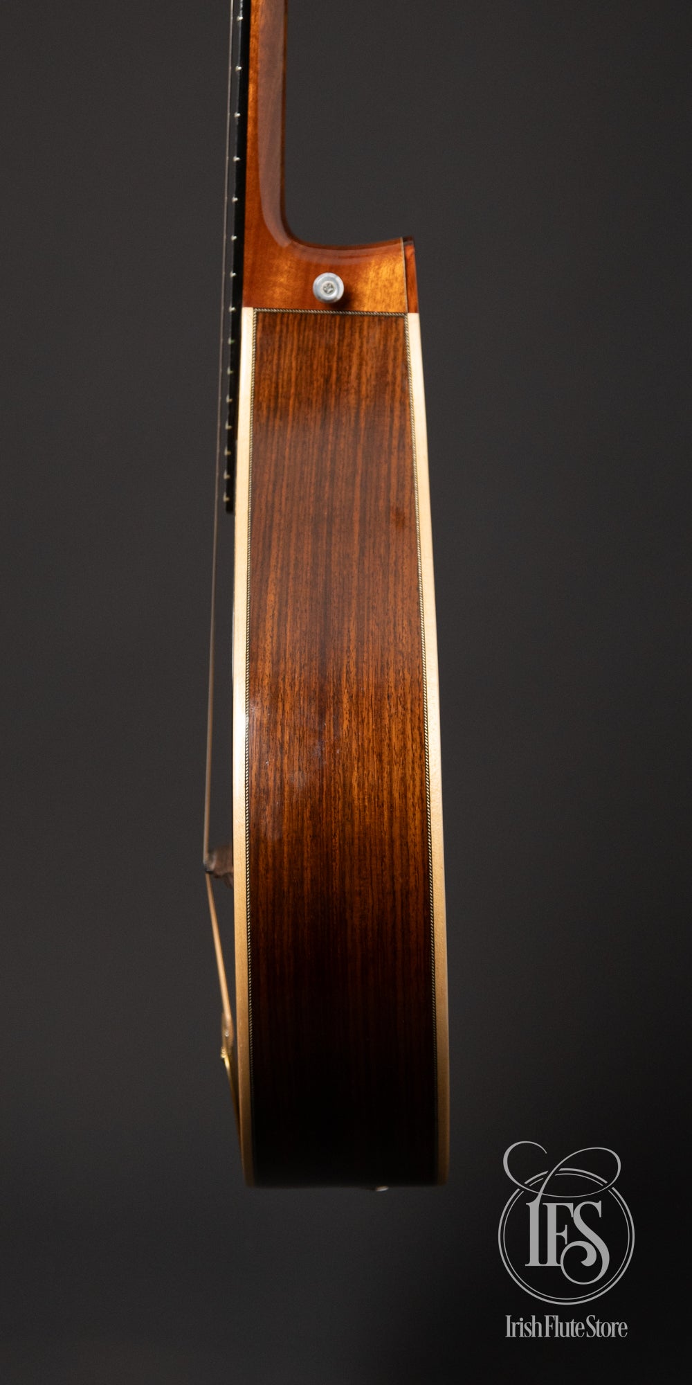 Joe Foley Rosewood & Swiss "Moon-Wood" Spruce Irish Bouzouki