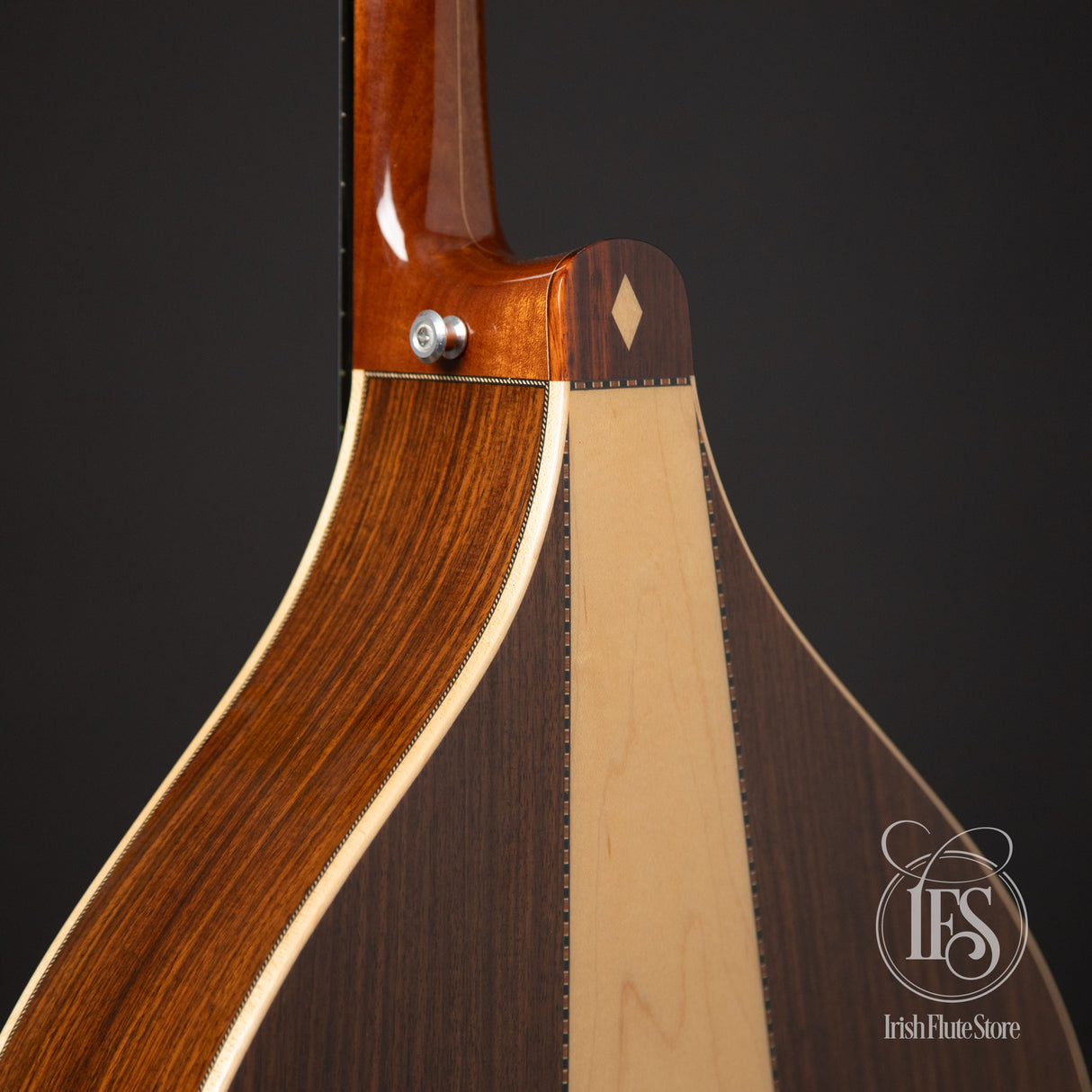 Joe Foley Rosewood & Swiss "Moon-Wood" Spruce Irish Bouzouki