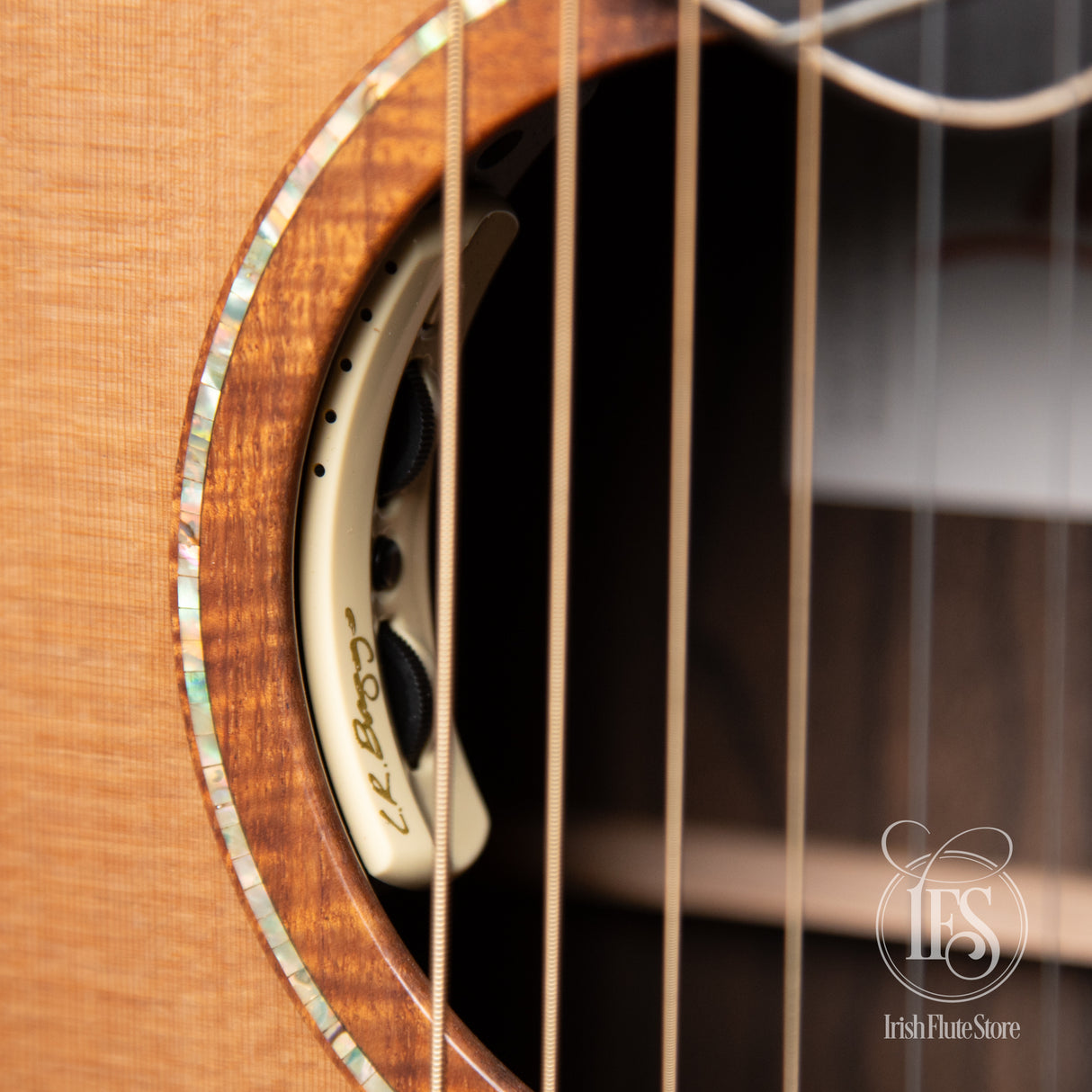 Lowden Ziricote & Red Cedar S50C Fanfret