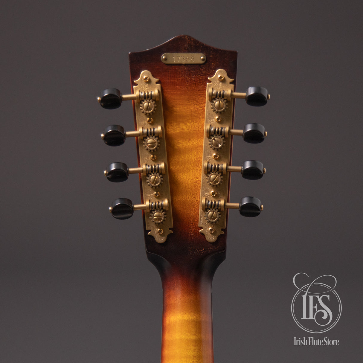 National Reso-Phonic RM-1 Resonator Mandolin with Hot-Plate