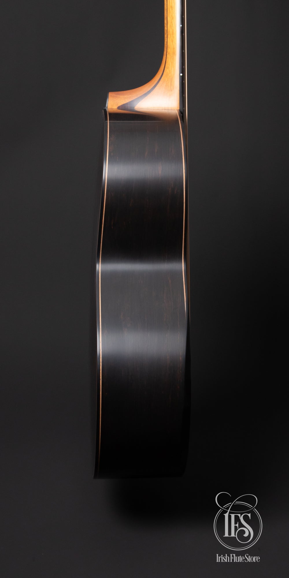 Lowden Guitars F50 African Blackwood & Sinker Redwood with Ebony Bevel Left Side Bout