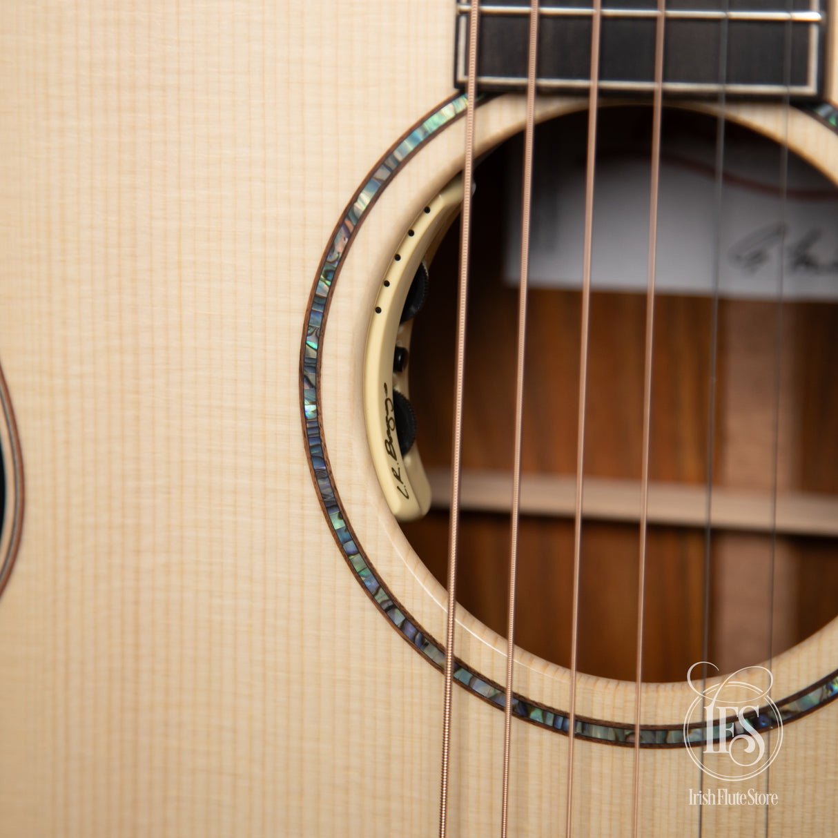 Lowden Guitars S-35C Cocobolo & Adirondack Spruce 12-Fret with L.R. Baggs Anthem Pickup Rosette Detail