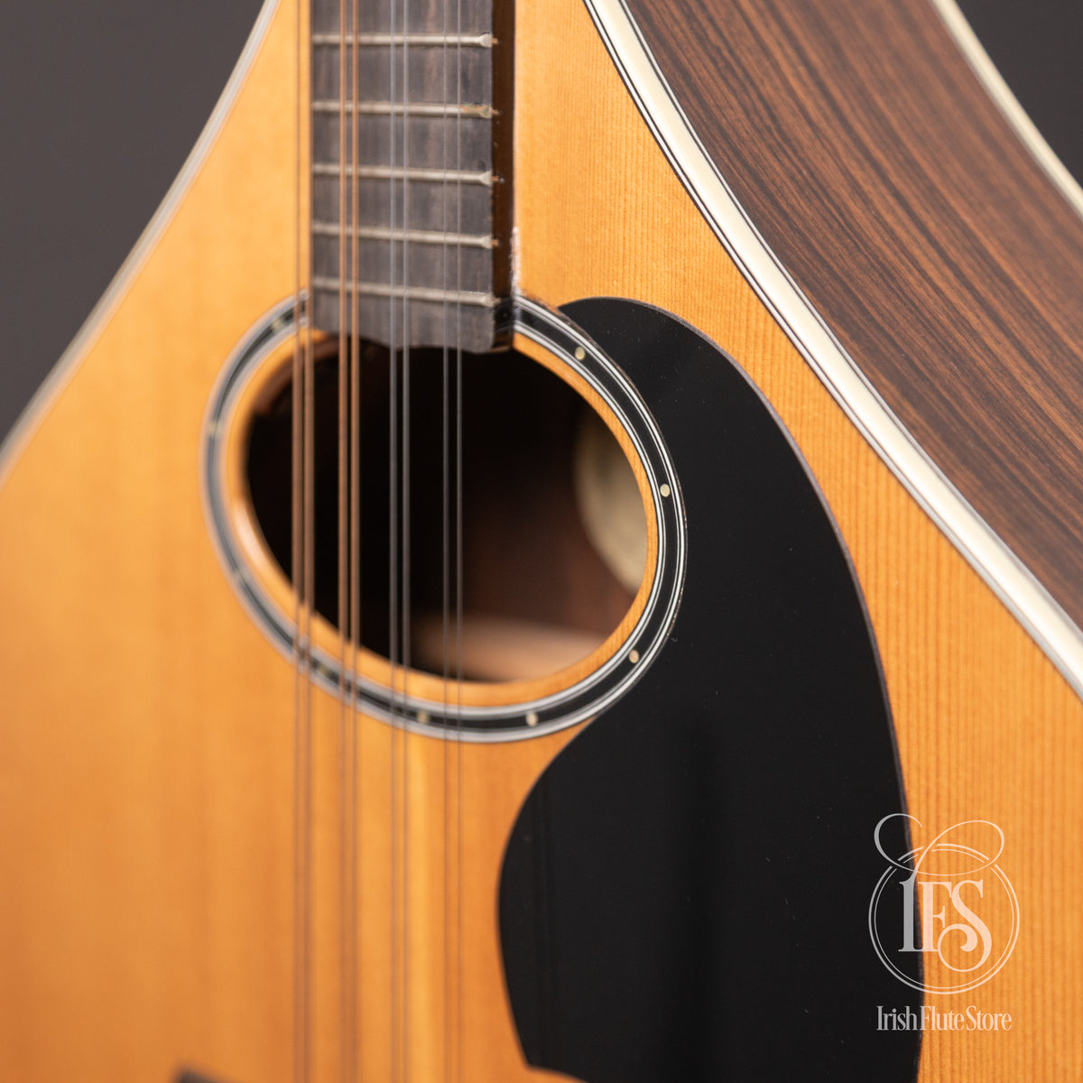 Crump B-III Irish Bouzouki with Pickup and Dragon Inlay