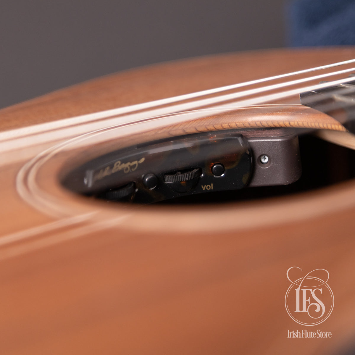 L.R. Baggs Session VTC soundhole control panel on the Lowden S-25J