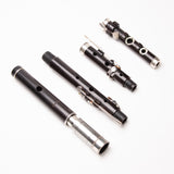 William Hall 6-Key with Terry McGee headjoint.