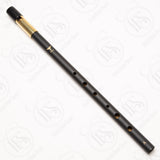 Wild Irish Whistle, A