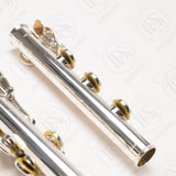 Haynes Amadeus AF780 - Solid Sterling Silver