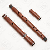 Rui Gomes D Irish flute