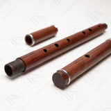 Rui Gomes D Irish flute