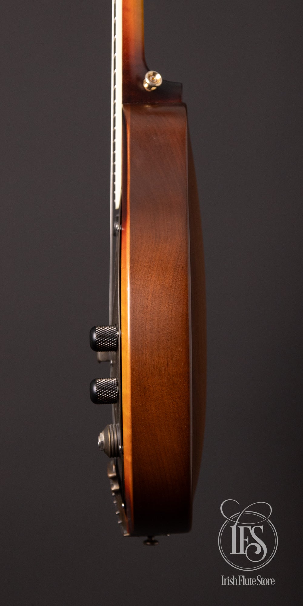 National Reso-Phonic RM-1 Resonator Mandolin with Hot-Plate