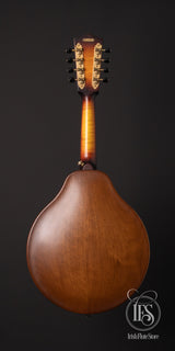 National Reso-Phonic RM-1 Resonator Mandolin with Hot-Plate