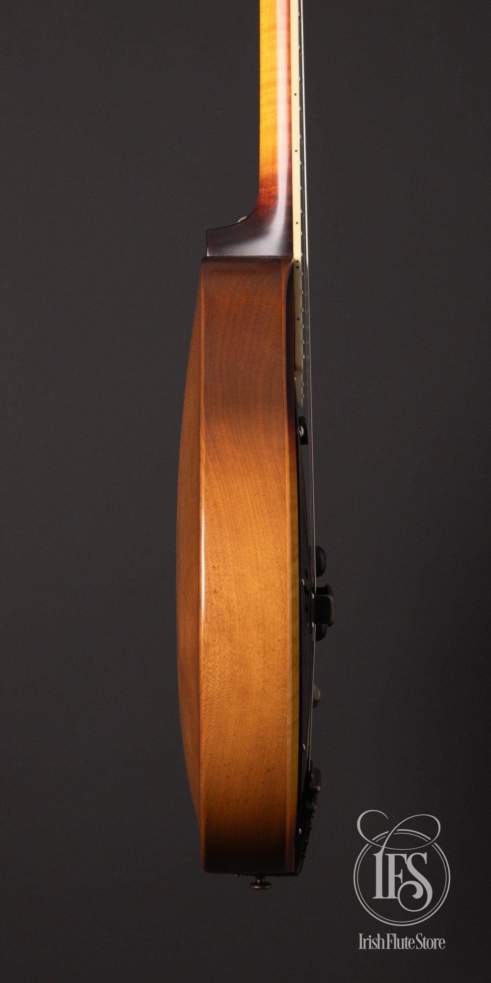National Reso-Phonic RM-1 Resonator Mandolin with Hot-Plate