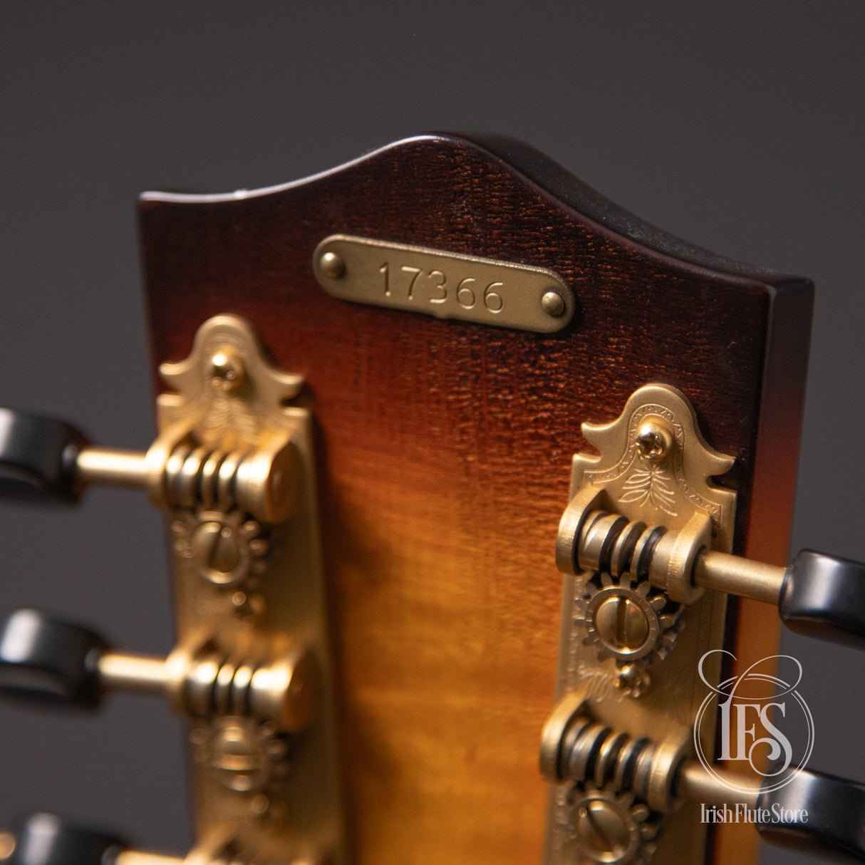 National Reso-Phonic RM-1 Resonator Mandolin with Hot-Plate
