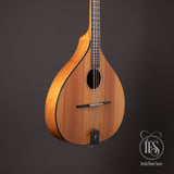 Freshwater Octave Mandolin, American Walnut & Spruce