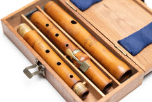 Wood & Ivy Boxwood F