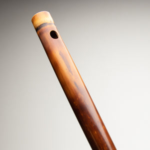 Olwell Bamboo D
