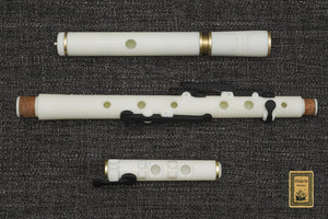 Galeon 3D Printed 6-Key Irish Flute