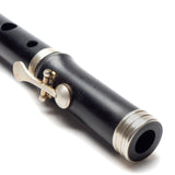 Casey Burns Large Hole Standard w/Eb Key and Extra C Body