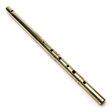 Hoover Telescopic Bb