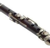 Siccama Flute